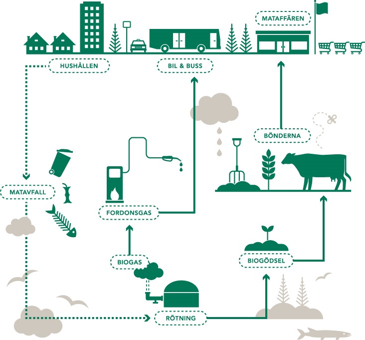 Schematisk bild som visar hur matavfallet går via insamling till biogasanläggning för att bli biogas och biogödsel.