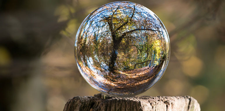 En glaskula som speglar omkringliggande skog.