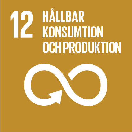 Golbalt mål 12: hållbar konsumtion och produktion